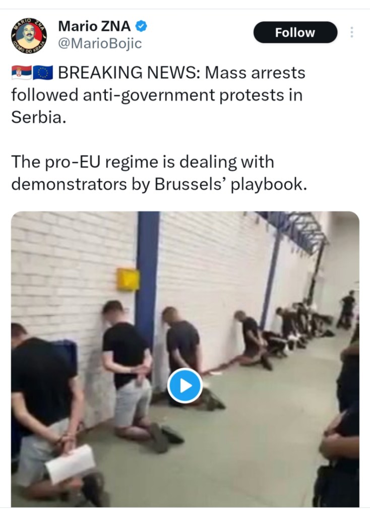 Serbian protester anti-EU propaganda